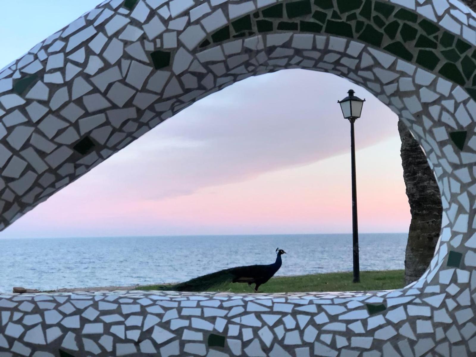 Regata Playa Apartment Oropesa del Mar Ngoại thất bức ảnh
