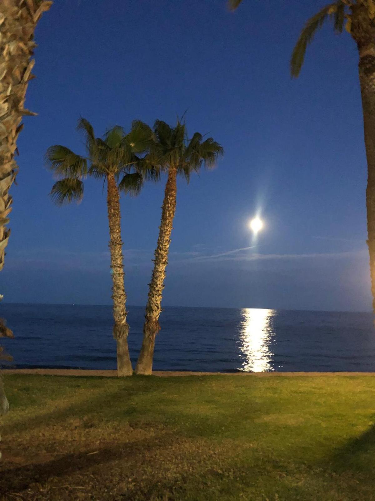 Regata Playa Apartment Oropesa del Mar Ngoại thất bức ảnh